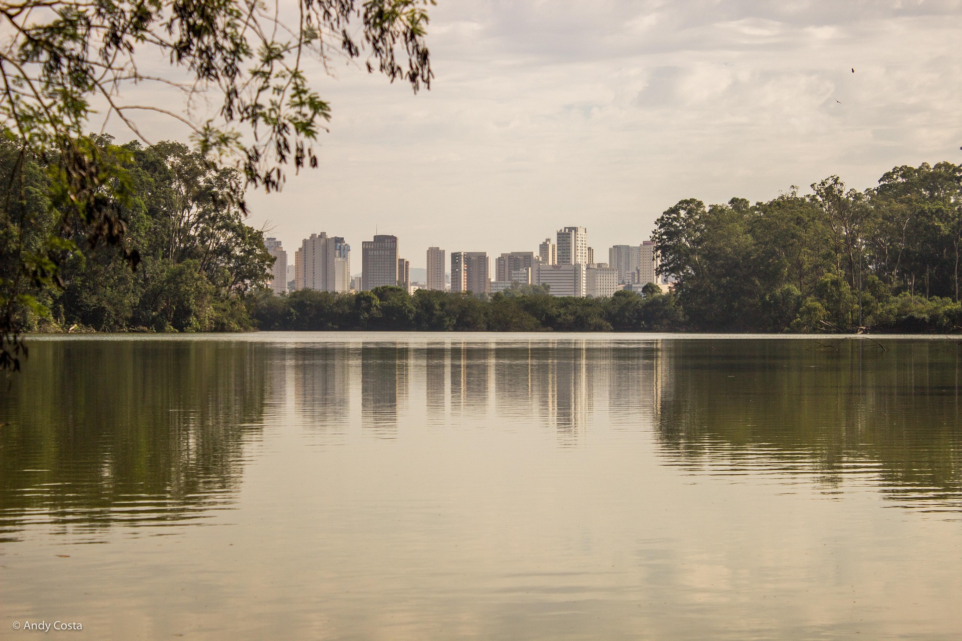 Parque Ibirapuera e skyline de São Paulo